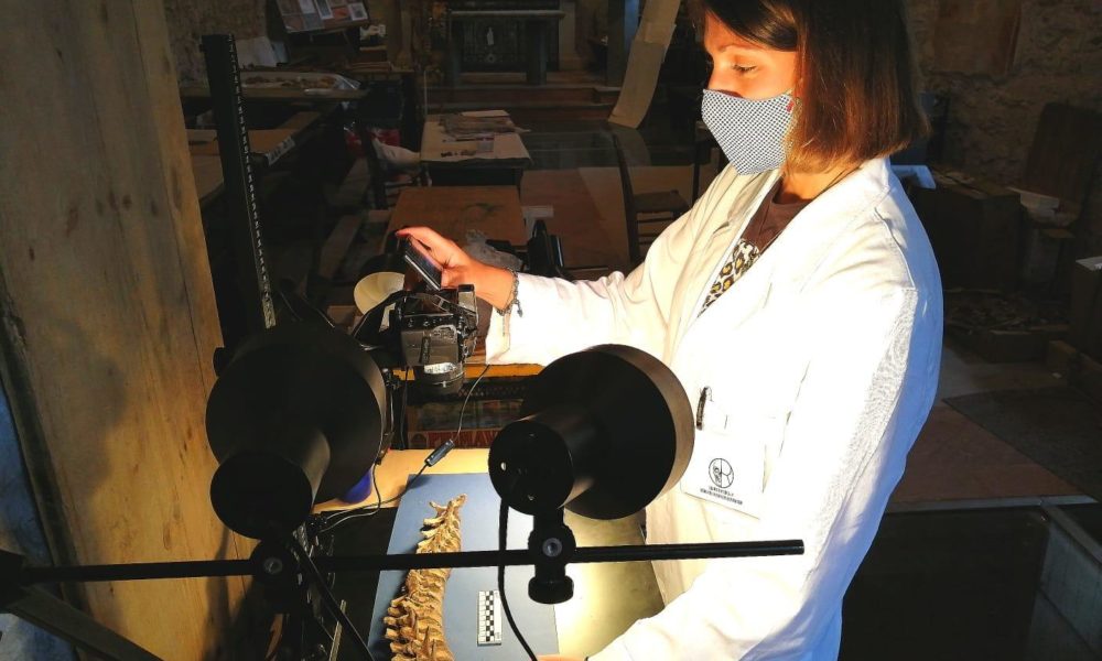 Osteoarcheologi e paleopatologi dell’Insubria al lavoro nel “fiume di ossa” a Vercelli e nella chiesa di Cittiglio