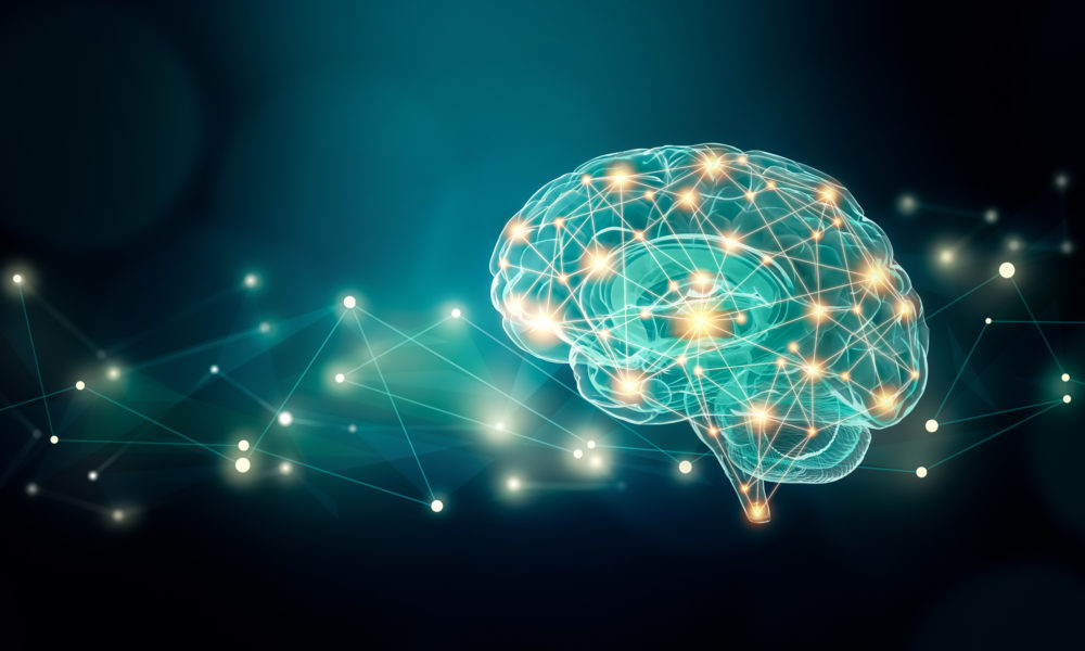 Il cervello e le sue patologie: all’Insubria una giornata online dedicata alle Neuroscienze