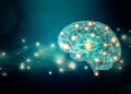 Human brain connexions illustration with abstract background and plexus lines network and copy space. Cerebral or neuronal activity concepts.