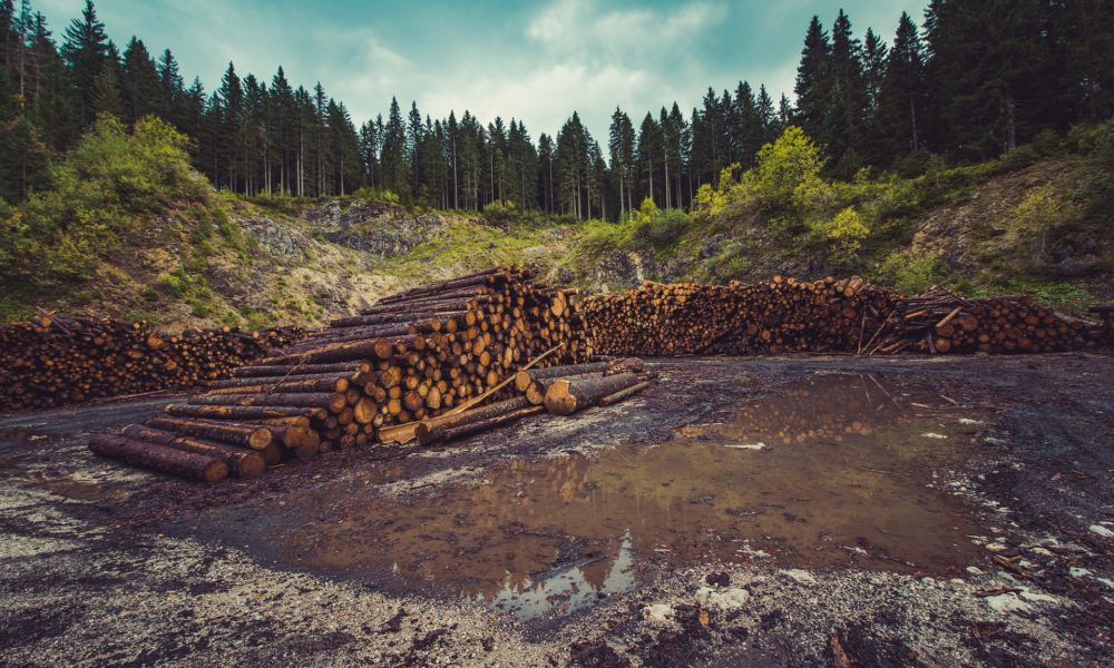 Contributi previdenziali straordinari: “Esonero anche per la filiera del legno, dell’olio e dell’ortofrutta”
