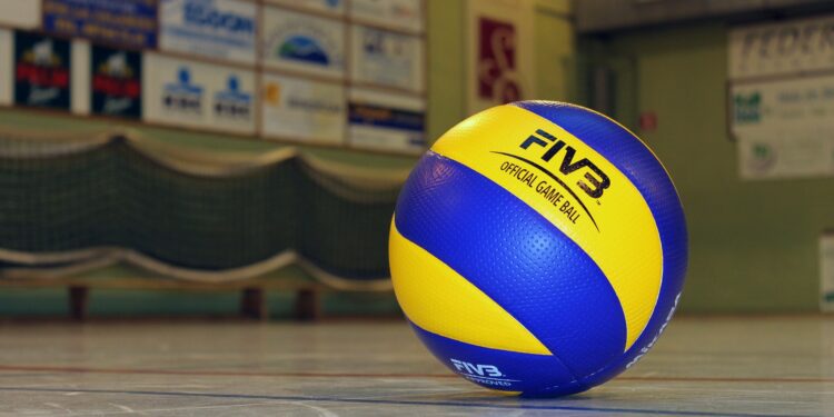 Pallone volley