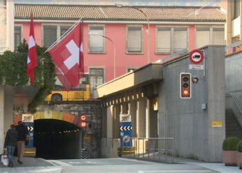 sicurezza svizzera