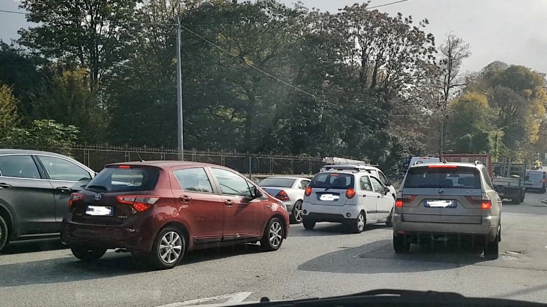 Como. Taglio piante, traffico in tilt questa mattina in via Borgovico in entrambe le direzioni
