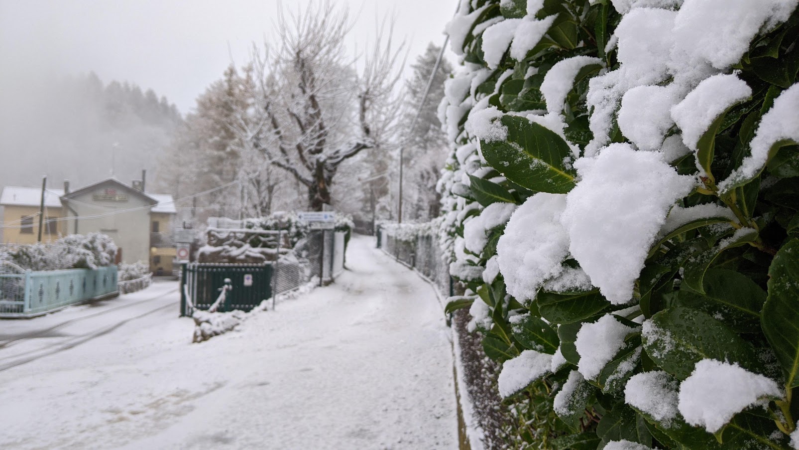 Allerta neve tra domenica e lunedì: fiocchi bianchi anche in città e a basse quote