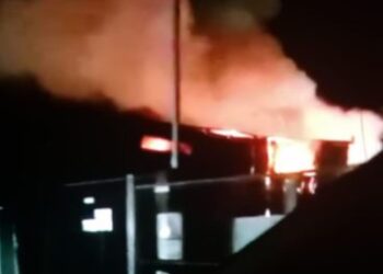 Le fiamme hanno interessato capannone e mezzi