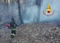 Fiamme nei boschi di Brenna