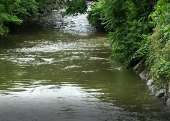 Un drone che sorvola il fiume Seveso