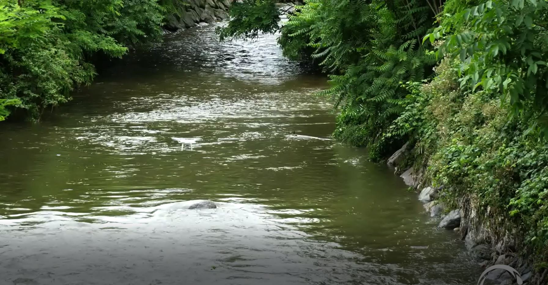Il progetto “Seveso Stream”: droni utilizzati per censire gli scarichi