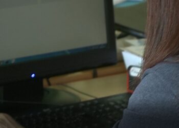 Donna al lavoro davanti al computer