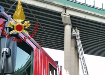 Vigili del fuoco viadotto A9