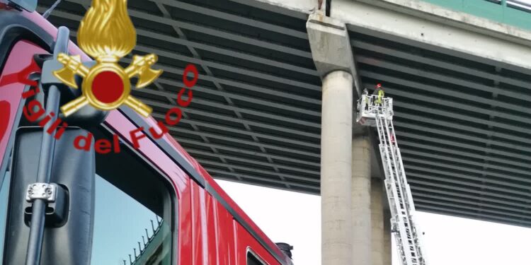 Vigili del fuoco viadotto A9