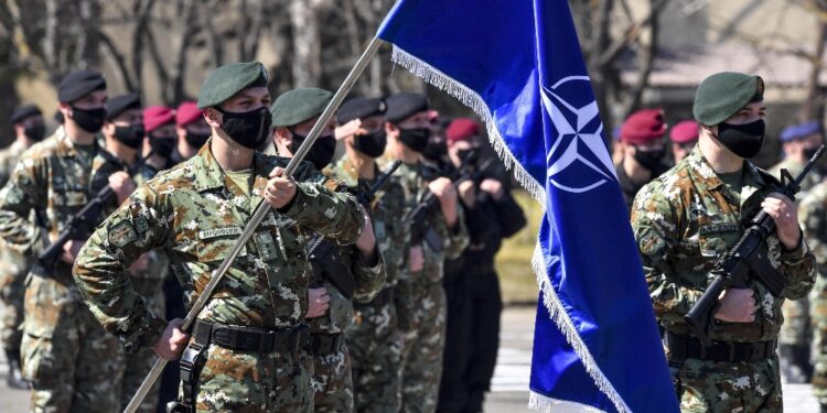 Min. Difesa: più soldati a ovest per rispondere a 'minacce' Nato