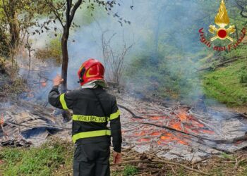 L'incendio nei boschi di Albate