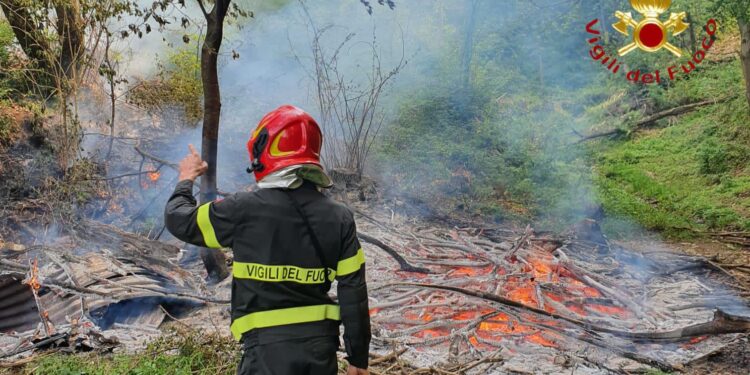 L'incendio nei boschi di Albate