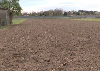 pratiche Green, nella foto Un campo arato per le coltivazioni