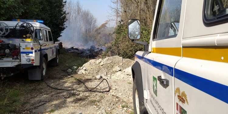 incendio boschivo a Cantù