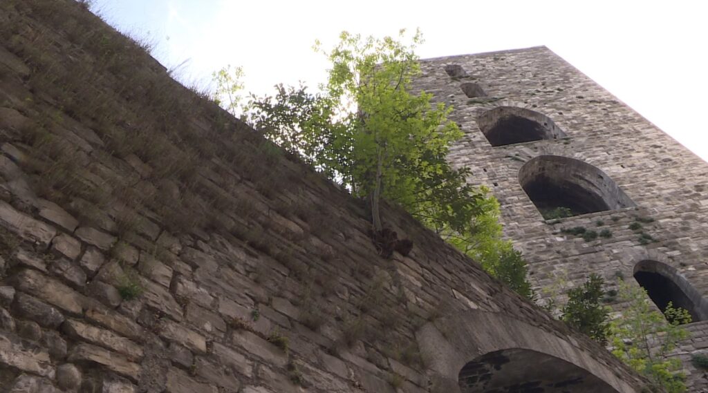 vegetazione como mura antiche