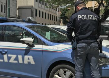 Il valore dei mezzi è di 114 mila euro
