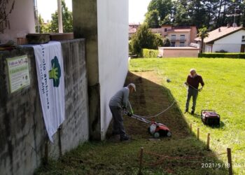 Giornata mondiale delle api