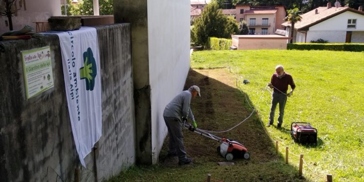 Giornata mondiale delle api