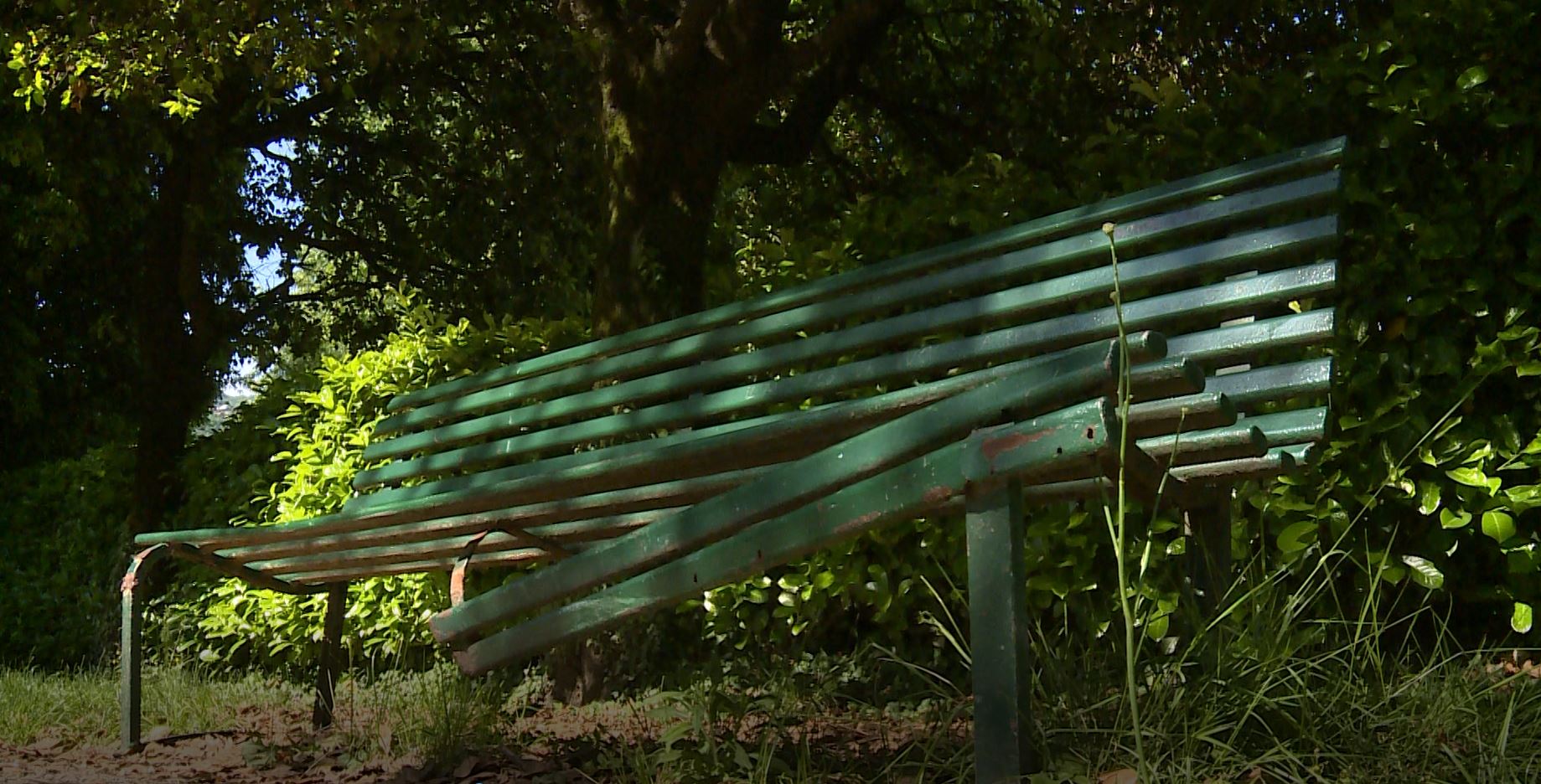 Giardini pubblici di Sagnino: la scarsa manutenzione segnalata dai cittadini