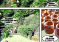 Orticolario_Como Raku_27 giugno