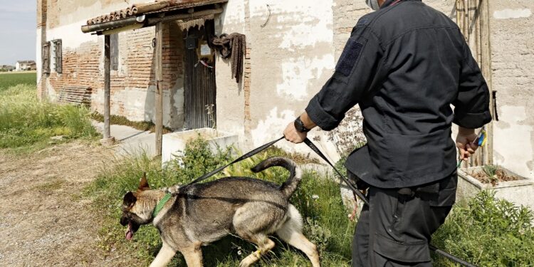 Si attende l'interrogatorio del cugino consegnato all'Italia