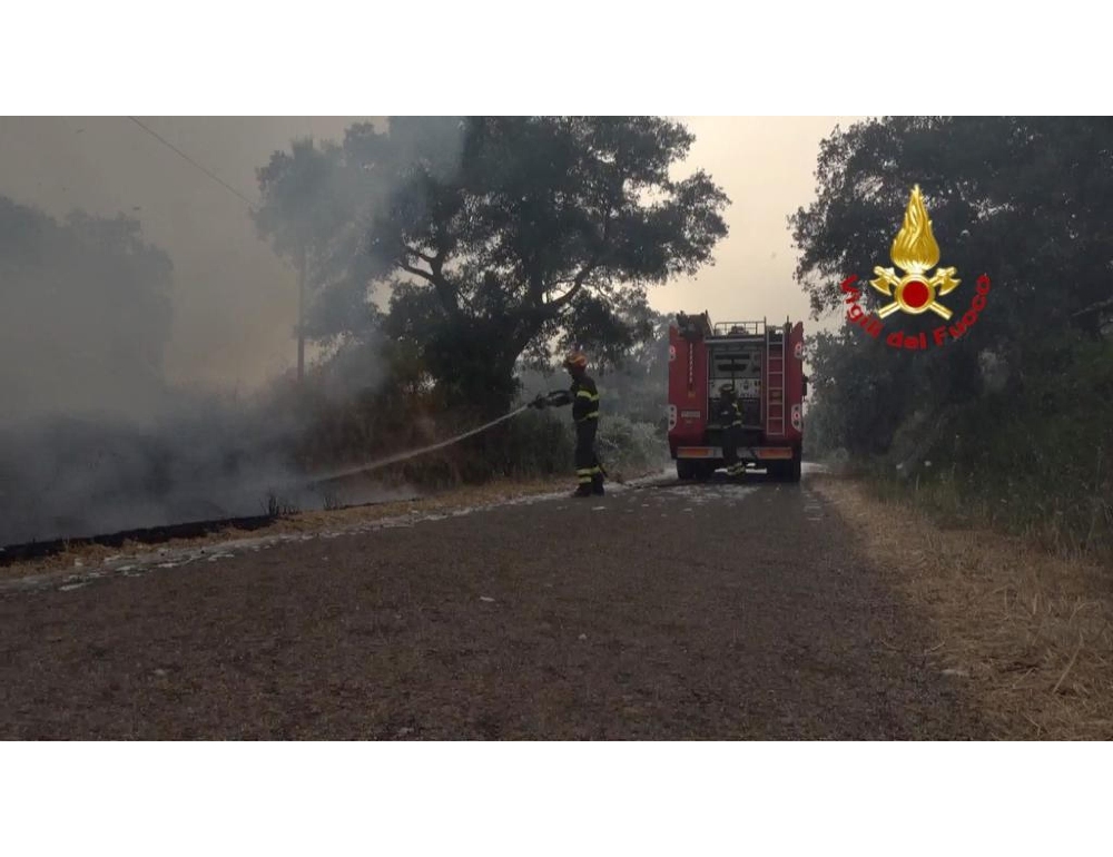 Incendi: allerta in Sardegna, rischio alto per nuovi roghi - EspansioneTv