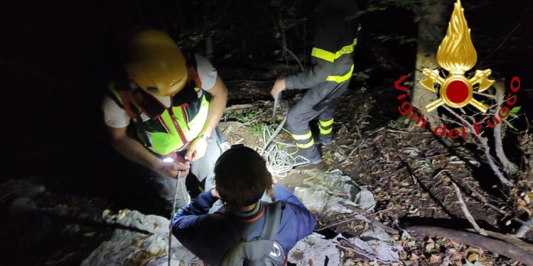 Vigili del fuoco sul Cornizzolo