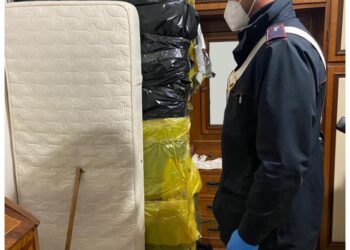 Uomo di Buccinasco denunciato per occultamento di cadavere