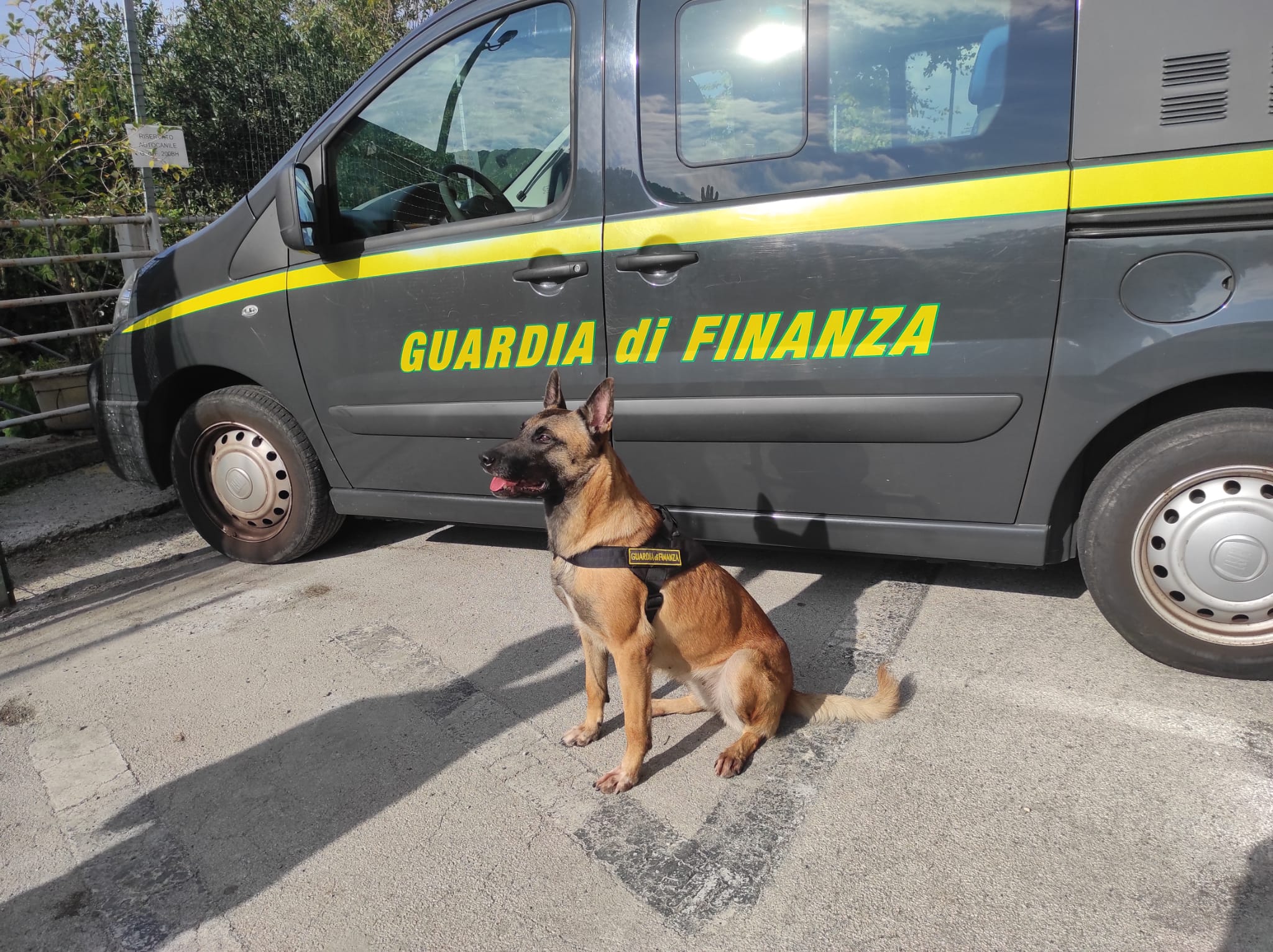 Passeggero del bus arrestato in dogana, la droga fiutata dal cane della finanza Anima