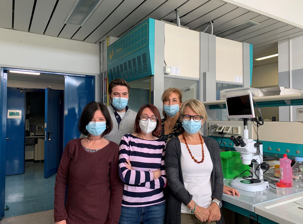 Sensori della percezione e Nobel Medicina, un contributo dai laboratori dell’Insubria