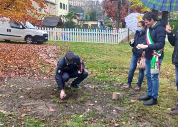 Giornata dell'albero