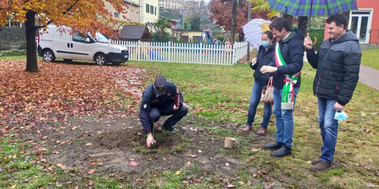 Giornata dell'albero