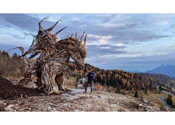 Tutto in legno