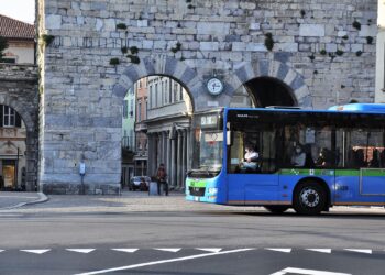 Bus pullman in piazza Vittoria Porta Torre 1