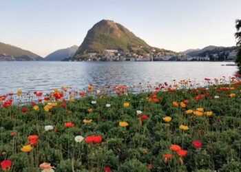 Lugano, Lago di Lugano