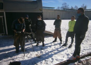 Corso maniscalchi detenuti Bassone