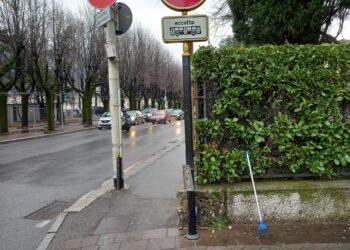 Cestini divelti Vandali in azione