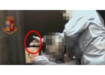 51enne davanti a gip Ancona."Ceduto a pressioni" 'organizzatori'
