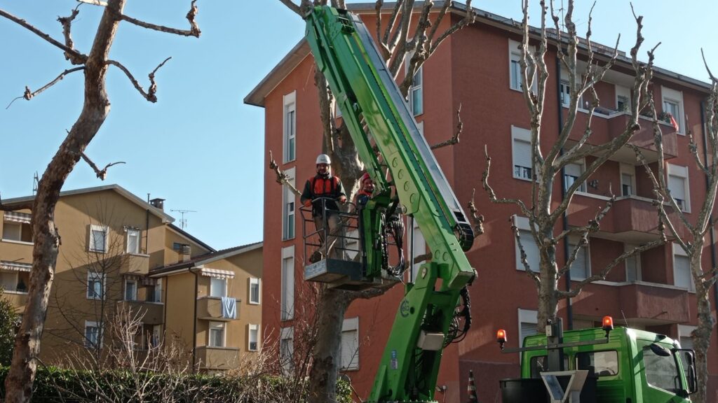 Lavori a Como potature