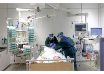 Dati Robert Koch Institut. Situazione ospedali sotto controllo