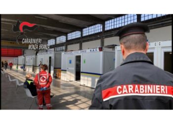 Condannato a 4 anni per 50 kg droga