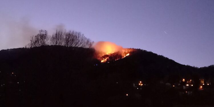 Incendio Sighignola