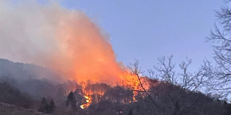 Incendio alla Sighignola