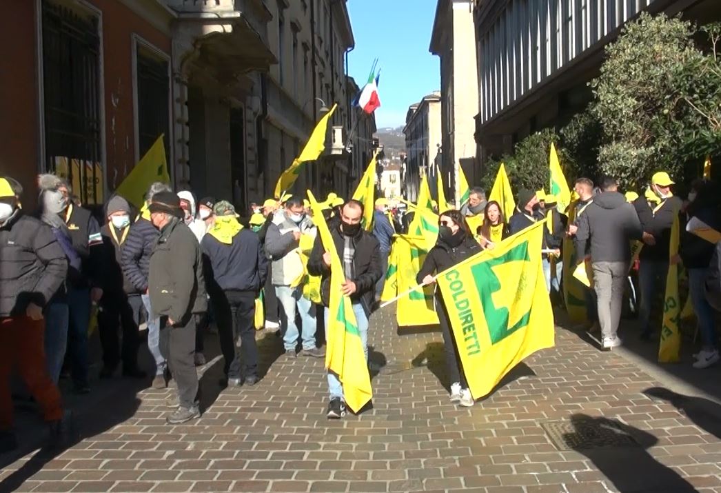 Agricoltori contro il caro energia: “Aziende agricole a rischio”