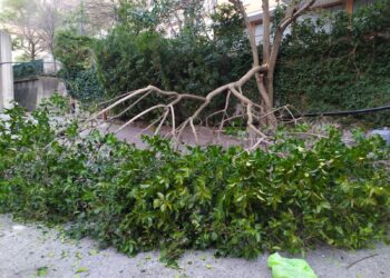 raffiche di vento