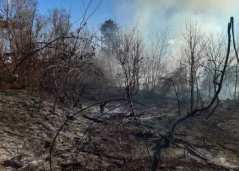Incendio sul Monte Morone tra Solbiate e Malnate