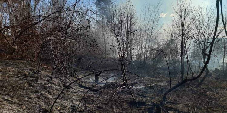 Incendio sul Monte Morone tra Solbiate e Malnate