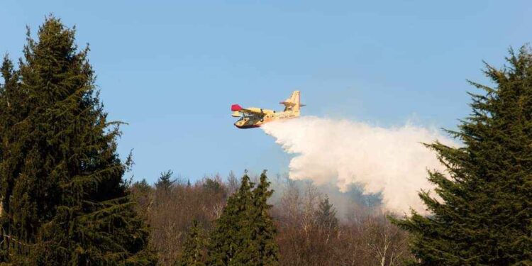 Incendio sul Monte Morone tra Solbiate e Malnate